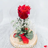 Beauty & The Beast - Preserved Rose in Glass Cloche - I Love You (Red)