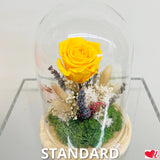 Beauty & The Beast - Preserved Roses in Glass Cloche - Light Shine Bright (Yellow)