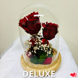 Beauty & The Beast - Preserved Rose in Glass Cloche - I Love You (Red)