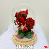 Beauty & The Beast - Preserved Rose in Glass Cloche - I Love You (Red)