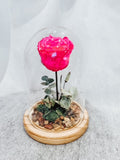 Beauty & The Beast - Preserved Rose in Glass Cloche - Pinky Promise (Pink)