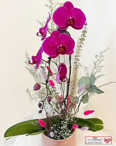 Lovely Orchid Arrangement
