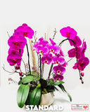 Purple Passion - Luxury Orchid Arrangement