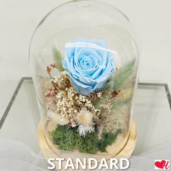 Beauty & The Beast - Preserved Roses in Glass Cloche - Living Waters (Blue)