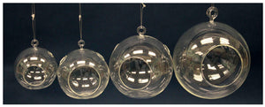 Sphere Hanging Glass - Terrarium Glass Vase