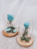 Beauty & The Beast - Preserved Roses in Glass Cloche - Living Waters (Blue)