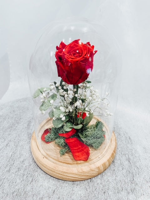 Beauty & The Beast - Preserved Rose in Glass Cloche - I Love You (Red)