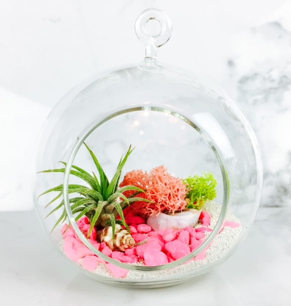 She Will 'Pink' of Me - Air Plant Terrarium