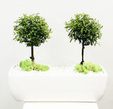 Twin Myrtle Trees in 12" Designer Vase