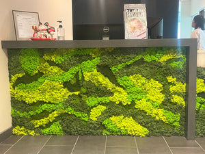Customized Moss Wall